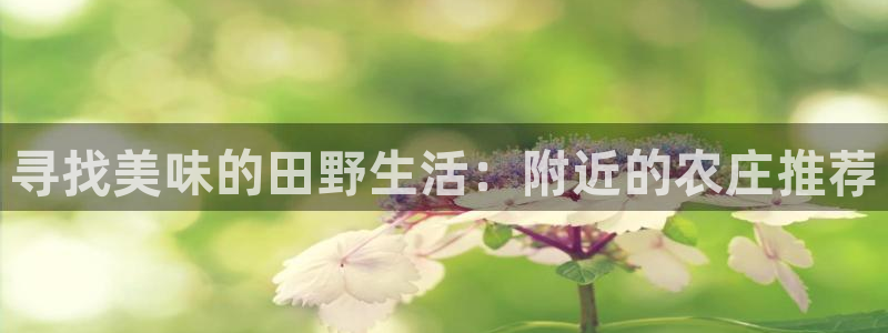 琳琅娱乐注册资金多少