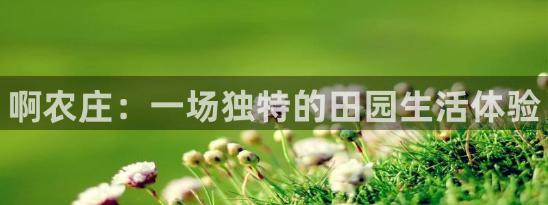 琳琅科技娱乐QQ机器人