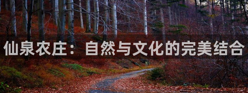 琳琅娱乐工作室怎么样啊