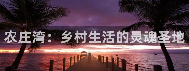 琳琅娱乐代理人是谁