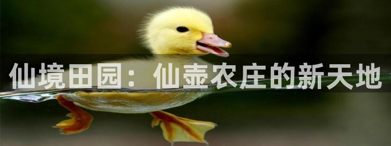 琳琅QQ娱乐机器人