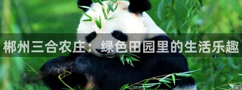 琳琅娱乐社区宅男