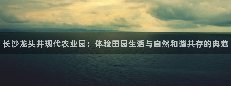 琳琅娱乐工作室怎么样啊