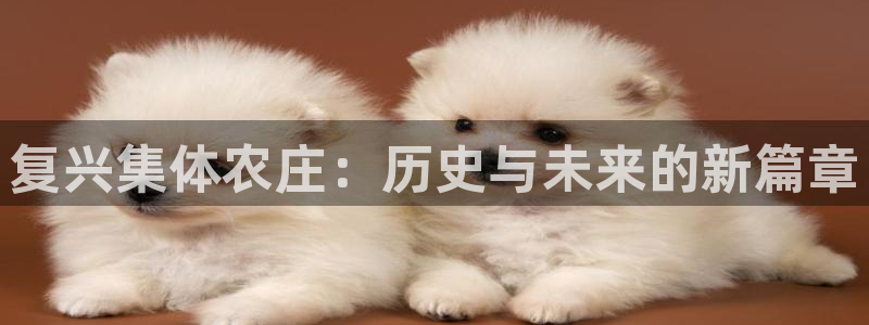 琳琅科技娱乐机器人教程