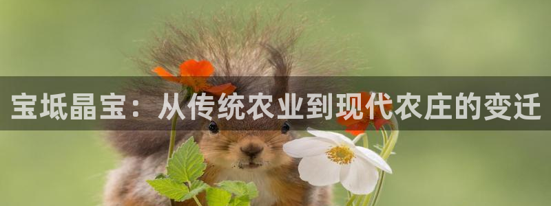 杭州琳琅互动娱乐