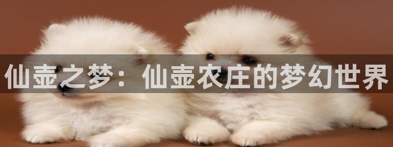 琅琳琅娱乐舍区