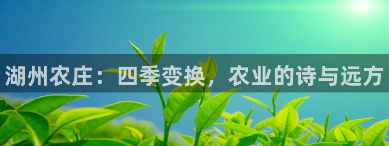 琳琅娱乐工作室