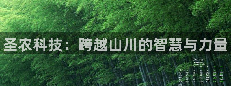 琳琅娱乐登入官网