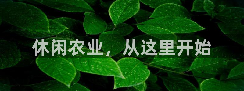 娱乐从琳琅榜开始