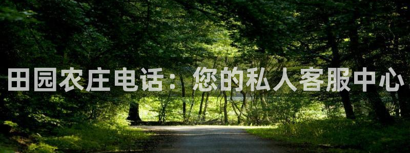 琳琅娱乐平台注册