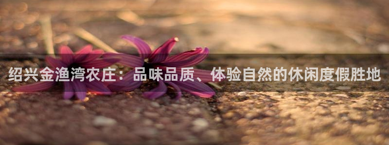 qq飞车琳琅娱乐组