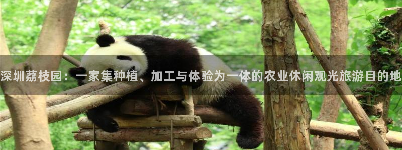 琅琳琅娱乐社区