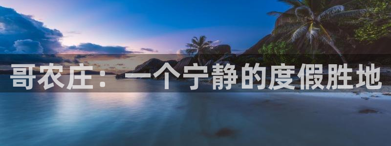 琳琅娱乐 全麦优质