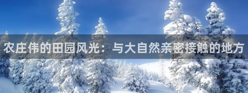 琳琅娱乐怎么样知乎