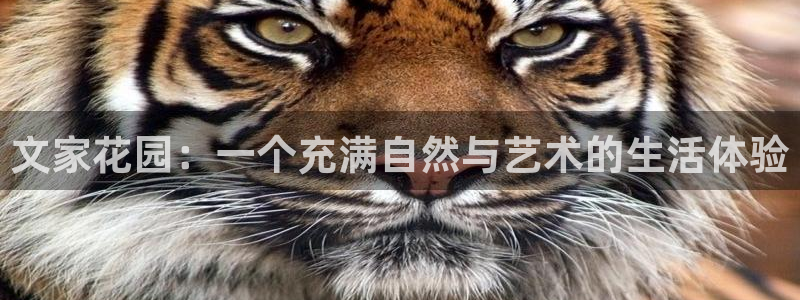 琳琅娱乐工作室怎么样