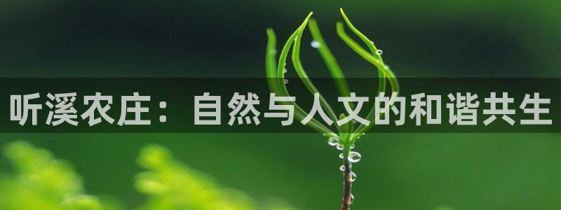 梧州琳琅娱乐城