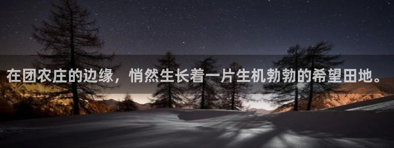 琳琅满目的娱乐设施