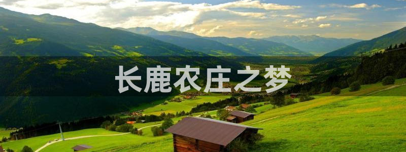 娱乐从琳琅榜开始的小说