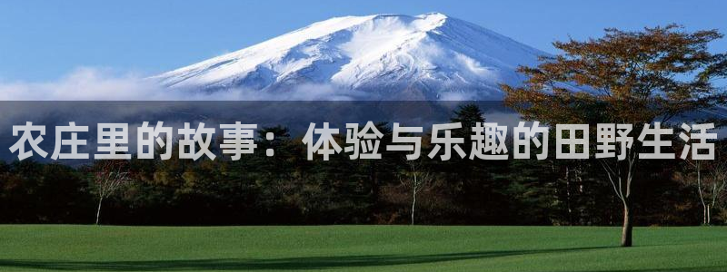 琳琅娱乐机器人