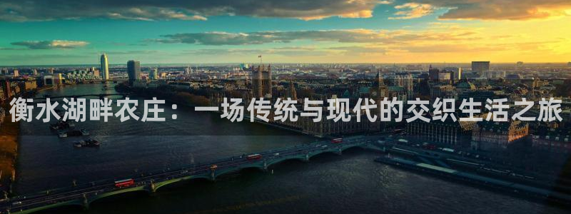 琳琅娱乐 全麦优质