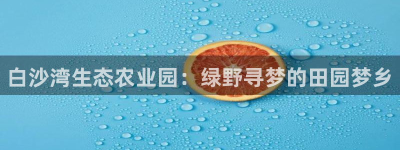 琳琅满目的娱乐设施