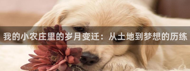 琳琅娱乐工作室怎么样