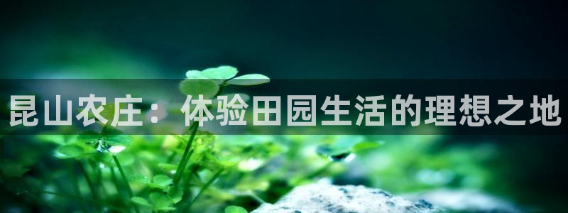 琳琅娱乐黑钱