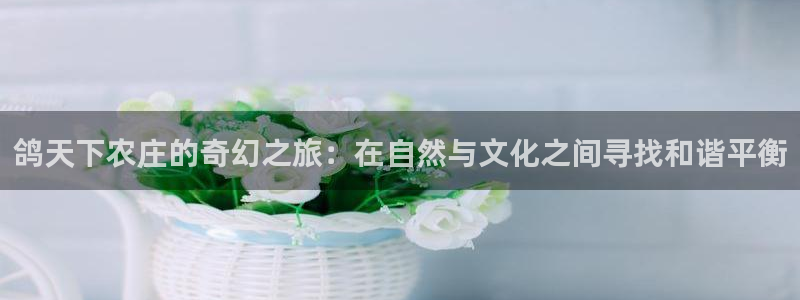 琳琅娱乐免费线上观看