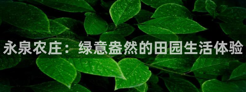 琅琳琅娱乐