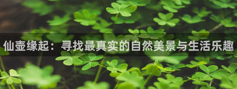 琳琅娱乐代理怎么做