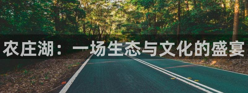 琳琅娱乐官网