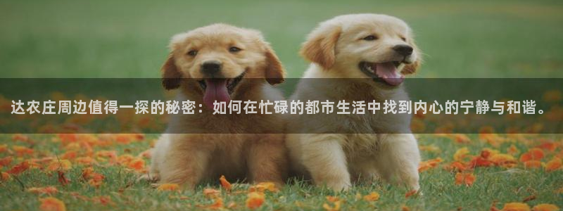 琳琅娱乐总代
