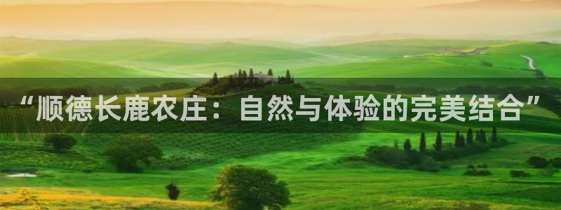 琳琅科技娱乐机器人下载