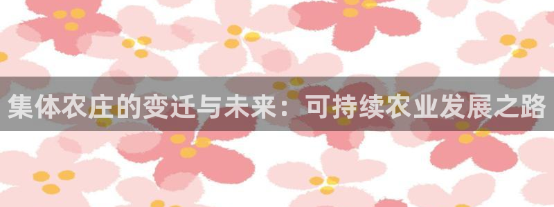琳琅娱乐组飞车