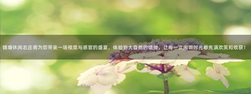 琳琅娱乐a